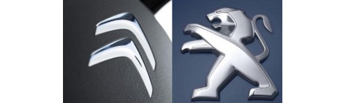 Peugeot и Citroen